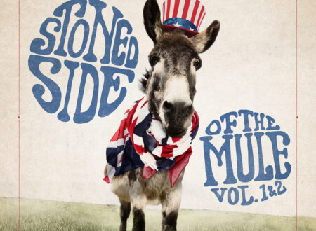 Gov’t mule –  Stoned side of the mule vol.1 & 2